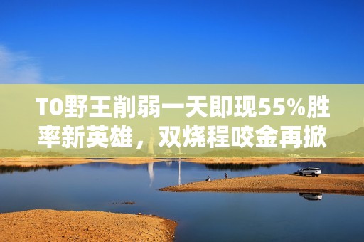 T0野王削弱一天即现55%胜率新英雄，双烧程咬金再掀热潮