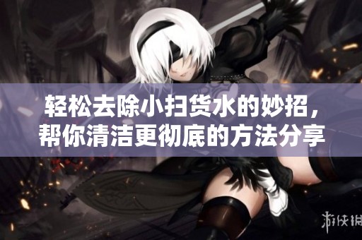 轻松去除小扫货水的妙招，帮你清洁更彻底的方法分享