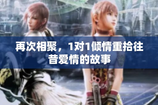 再次相聚，1对1倾情重拾往昔爱情的故事