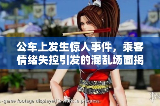 公车上发生惊人事件，乘客情绪失控引发的混乱场面揭秘
