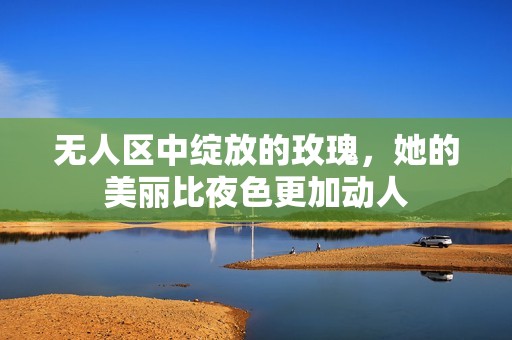无人区中绽放的玫瑰，她的美丽比夜色更加动人