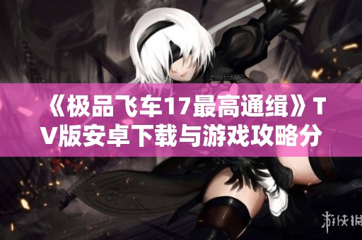 《极品飞车17最高通缉》TV版安卓下载与游戏攻略分享