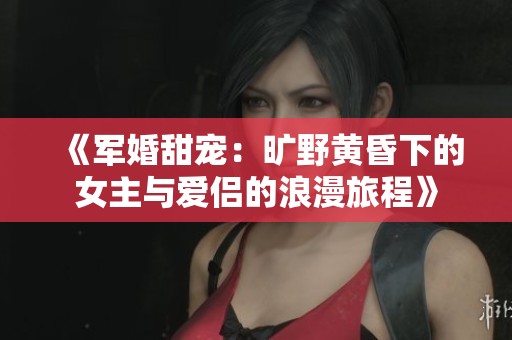 《军婚甜宠：旷野黄昏下的女主与爱侣的浪漫旅程》