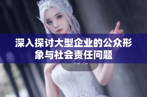 深入探讨大型企业的公众形象与社会责任问题