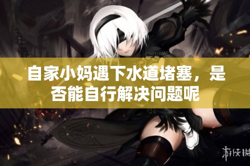 自家小妈遇下水道堵塞，是否能自行解决问题呢
