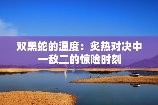 双黑蛇的温度：炙热对决中一敌二的惊险时刻