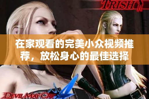 在家观看的完美小众视频推荐，放松身心的最佳选择