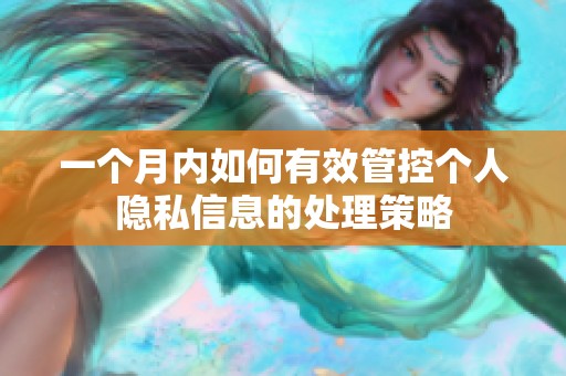 一个月内如何有效管控个人隐私信息的处理策略