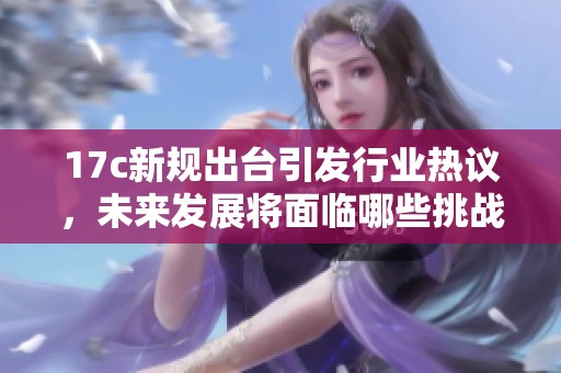 17c新规出台引发行业热议，未来发展将面临哪些挑战与机遇
