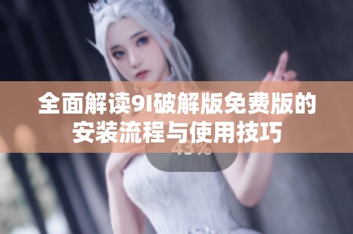 全面解读9I破解版免费版的安装流程与使用技巧
