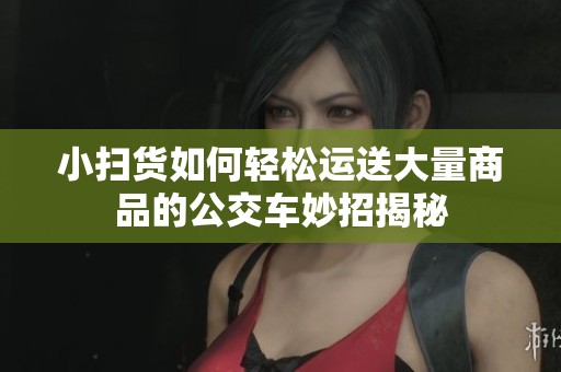 小扫货如何轻松运送大量商品的公交车妙招揭秘