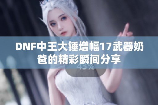 DNF中王大锤增幅17武器奶爸的精彩瞬间分享