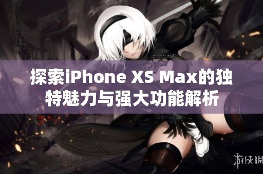 探索iPhone XS Max的独特魅力与强大功能解析