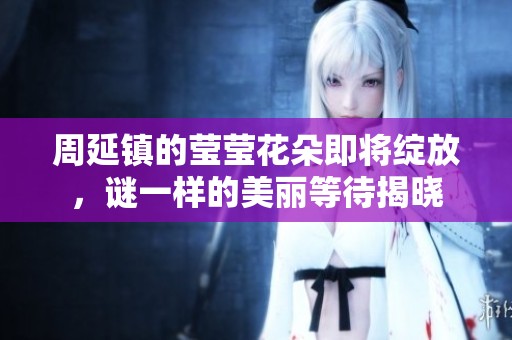 周延镇的莹莹花朵即将绽放，谜一样的美丽等待揭晓