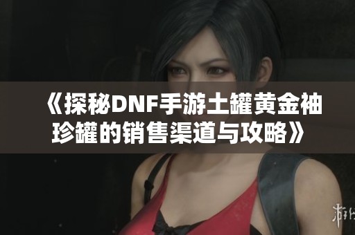 《探秘DNF手游土罐黄金袖珍罐的销售渠道与攻略》