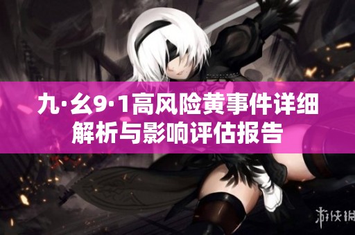 九·幺9·1高风险黄事件详细解析与影响评估报告