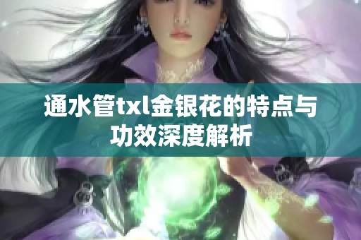 通水管txl金银花的特点与功效深度解析