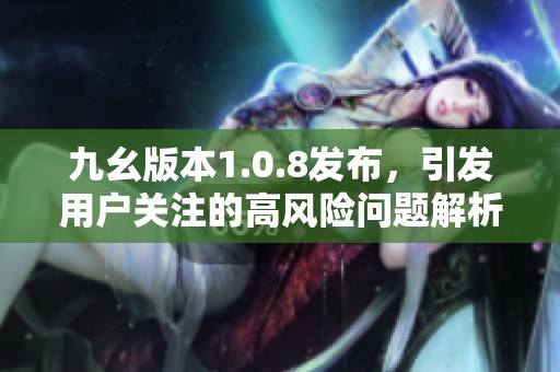 九幺版本1.0.8发布，引发用户关注的高风险问题解析