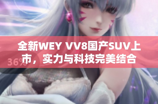全新WEY VV8国产SUV上市，实力与科技完美结合