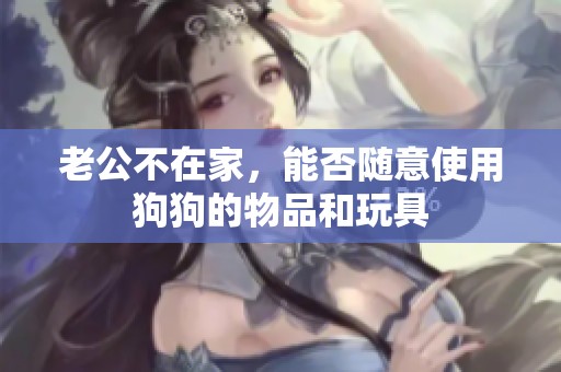 老公不在家，能否随意使用狗狗的物品和玩具