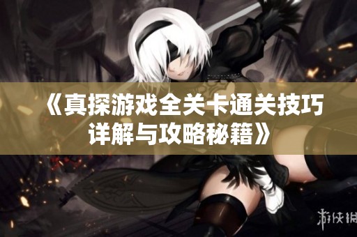 《真探游戏全关卡通关技巧详解与攻略秘籍》