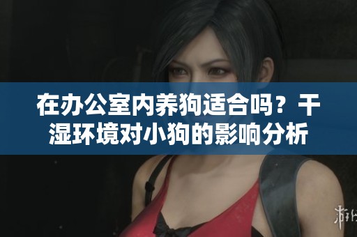 在办公室内养狗适合吗？干湿环境对小狗的影响分析