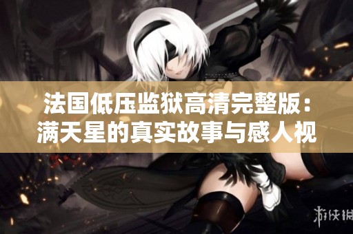 法国低压监狱高清完整版：满天星的真实故事与感人视角