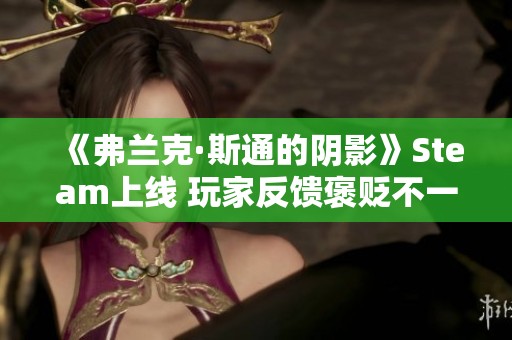 《弗兰克·斯通的阴影》Steam上线 玩家反馈褒贬不一解析