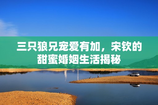 三只狼兄宠爱有加，宋钦的甜蜜婚姻生活揭秘