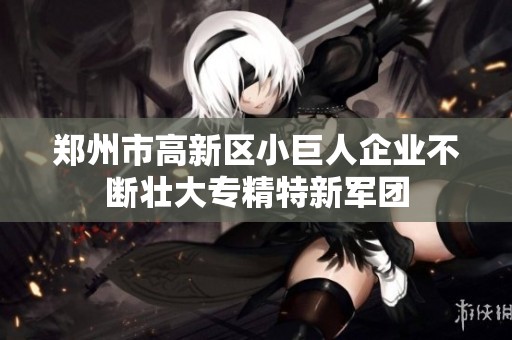郑州市高新区小巨人企业不断壮大专精特新军团
