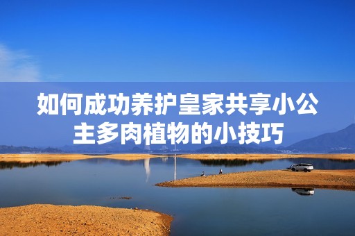 如何成功养护皇家共享小公主多肉植物的小技巧