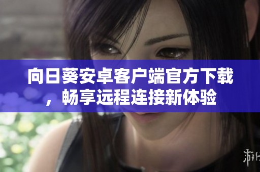 向日葵安卓客户端官方下载，畅享远程连接新体验