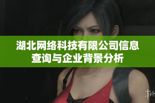 湖北网络科技有限公司信息查询与企业背景分析