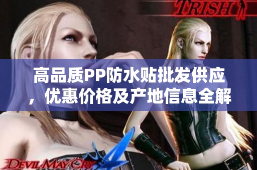 高品质PP防水贴批发供应，优惠价格及产地信息全解析
