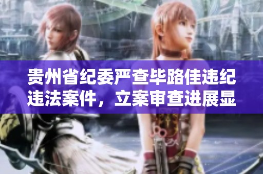 贵州省纪委严查毕路佳违纪违法案件，立案审查进展显著