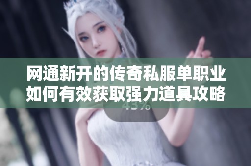 网通新开的传奇私服单职业如何有效获取强力道具攻略