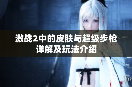 激战2中的皮肤与超级步枪详解及玩法介绍