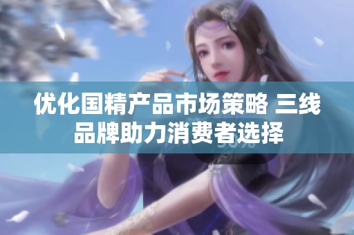 优化国精产品市场策略 三线品牌助力消费者选择