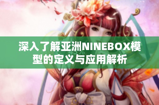深入了解亚洲NINEBOX模型的定义与应用解析
