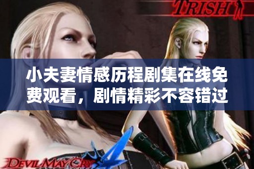 小夫妻情感历程剧集在线免费观看，剧情精彩不容错过