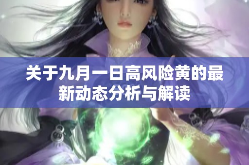 关于九月一日高风险黄的最新动态分析与解读