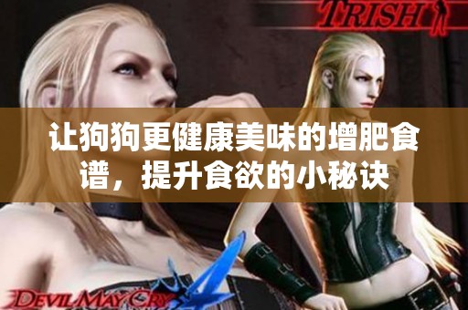 让狗狗更健康美味的增肥食谱，提升食欲的小秘诀