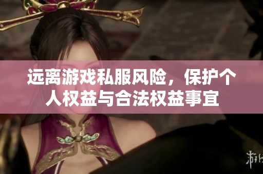 远离游戏私服风险，保护个人权益与合法权益事宜
