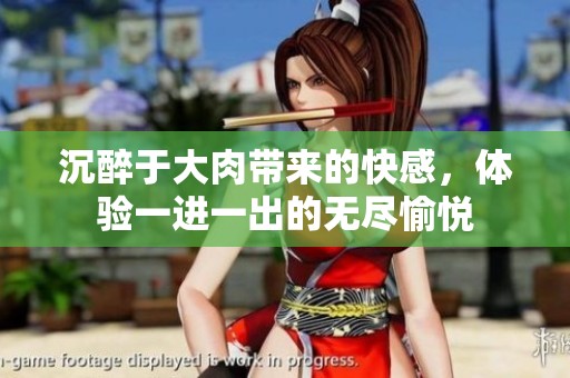 沉醉于大肉带来的快感，体验一进一出的无尽愉悦