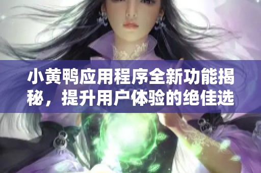 小黄鸭应用程序全新功能揭秘，提升用户体验的绝佳选择