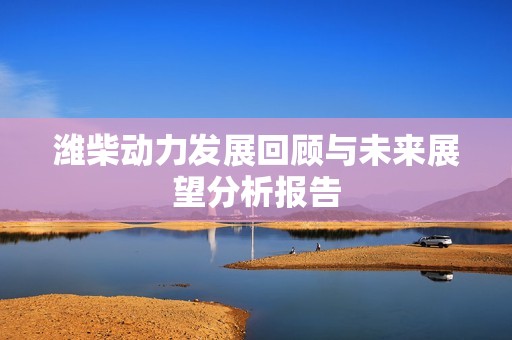 潍柴动力发展回顾与未来展望分析报告