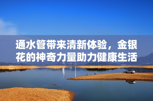 通水管带来清新体验，金银花的神奇力量助力健康生活