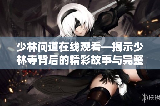 少林问道在线观看—揭示少林寺背后的精彩故事与完整剧情分析
