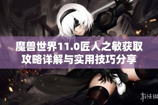 魔兽世界11.0匠人之敏获取攻略详解与实用技巧分享