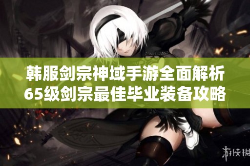 韩服剑宗神域手游全面解析65级剑宗最佳毕业装备攻略